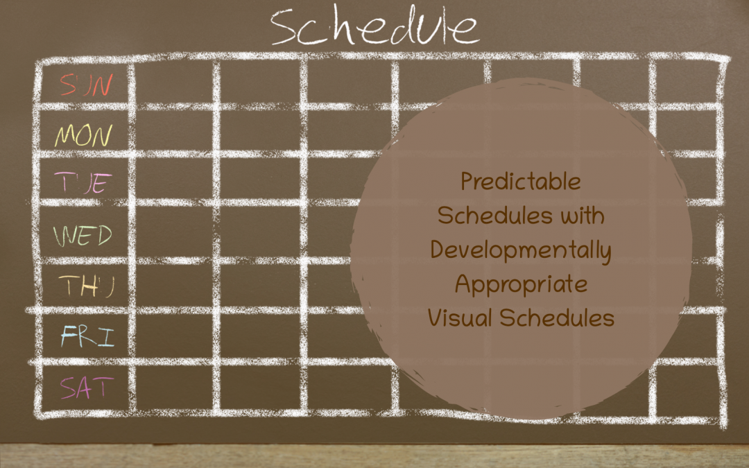 Predictable Schedules with Developmentally Appropriate Visuals